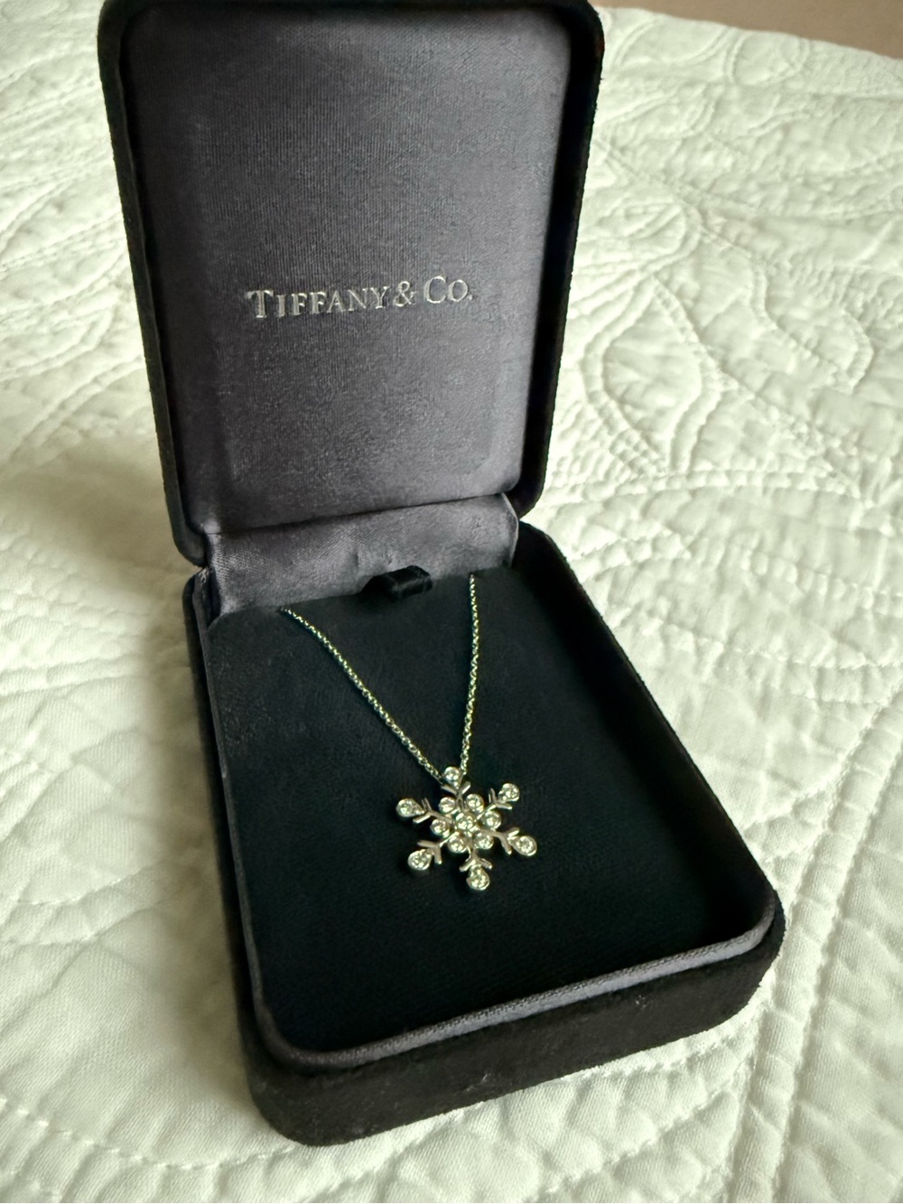 Tiffany & Co. Silver Snowflake Diamond Platinum Pendant Necklace